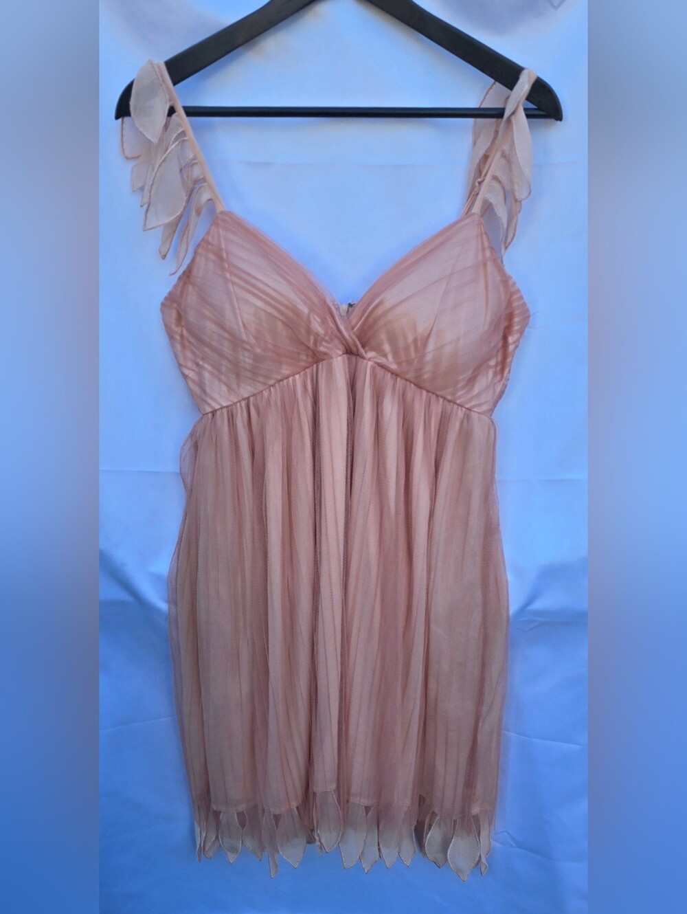 Sheer Blush Pink Tulle Dress